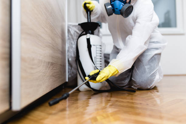 Best Affordable Pest Control Services  in Florence, TX
