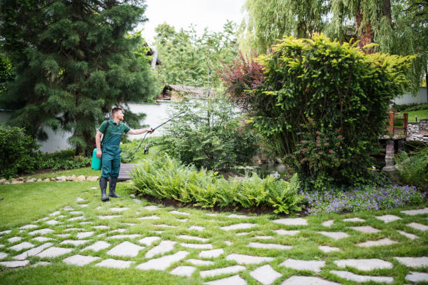 Best Residential Pest Control  in Florence, TX