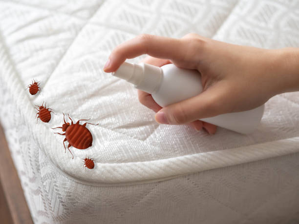 Professional Pest Control in Florence, TX