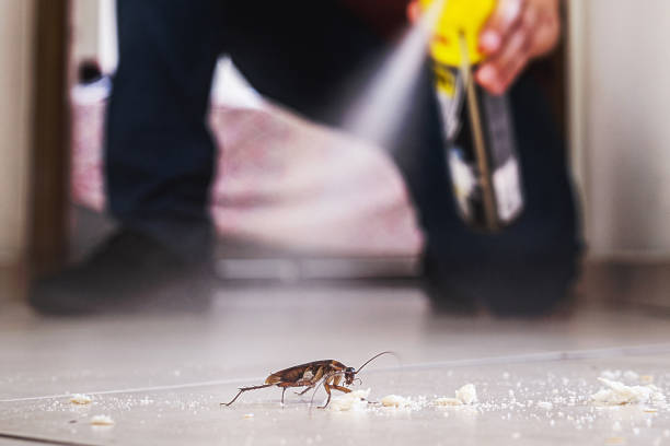 Best Best Pest Control Companies  in Florence, TX