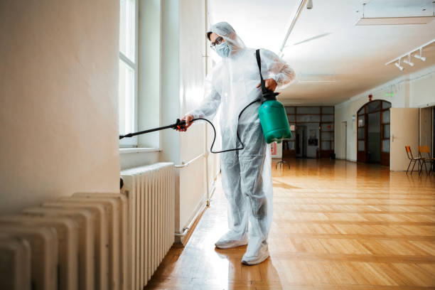 Best Mosquito Control Services  in Florence, TX