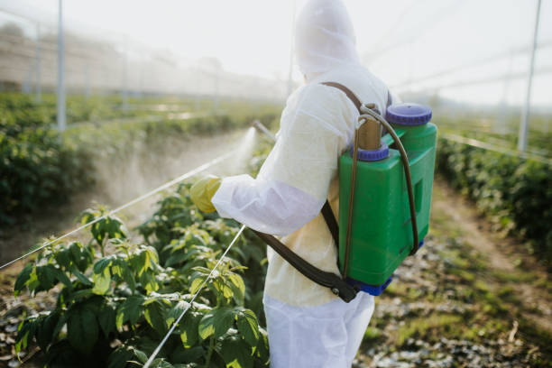 Best Affordable Pest Control Services  in Florence, TX